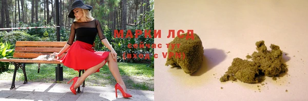 spice Алзамай