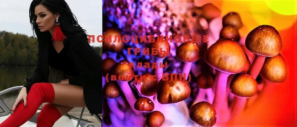 spice Алзамай