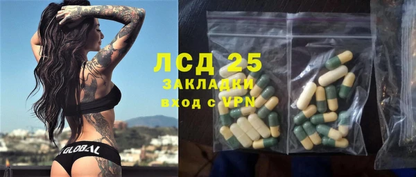 spice Алзамай